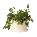 Rise Planter, Natural