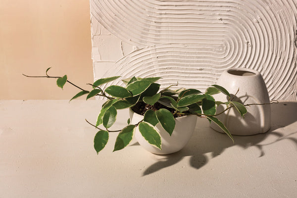 Echo Footed Bowl, White, 6.25"x 9.75"