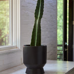 Elliott Pot, 11", Black