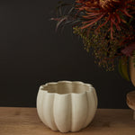 Spiced Pumpkin Pot, Cream