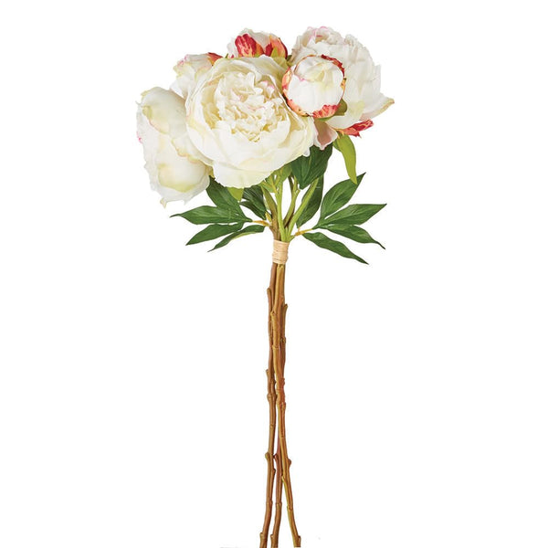 Cream Peony Bundle