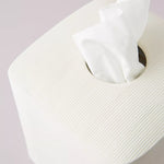 Fillmore Bathroom Tissue Holder