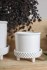 Jane Footed Pot with Saucer, 8"
