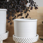 Jane Footed Pot with Saucer, 8"