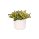 Succulent Faux Arrangement, 7"H, 4 Styles
