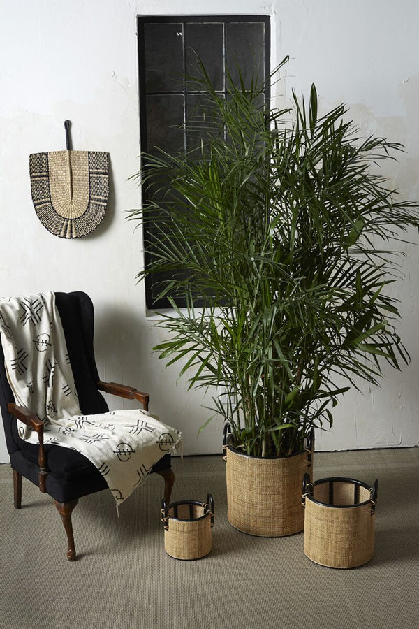 Townes Basket, 3 Sizes