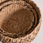 Entwine Baskets, 3 Sizes