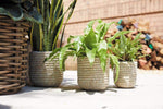 Tejida Basket 7"x 7.75" White