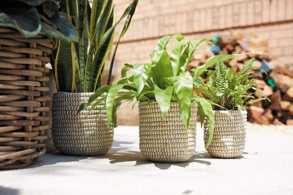 Tejida Basket 7"x 7.75" White