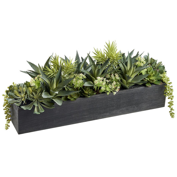 Succulent Garden in Wood Box, 26.75"