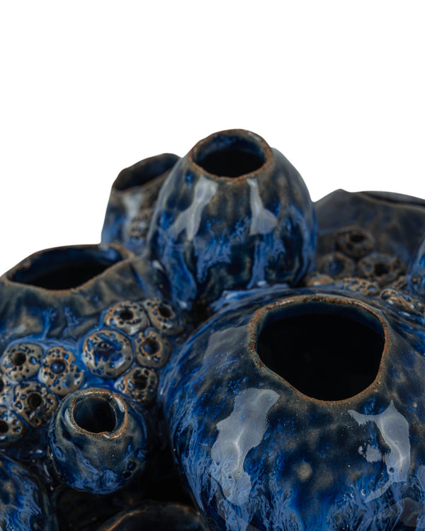 Sulawasi Blue Shells, 6.75"H x 7.5"W x 10"D