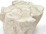 Camilla Fossilized Clam Side Table, 24.25"W x 23.25"D x 18"H