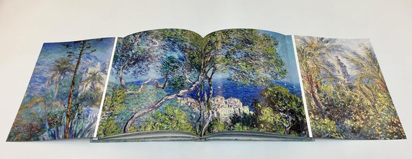 Monet: The Bigger Picture