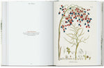 Martius: the Book of Palms