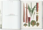 Martius: the Book of Palms