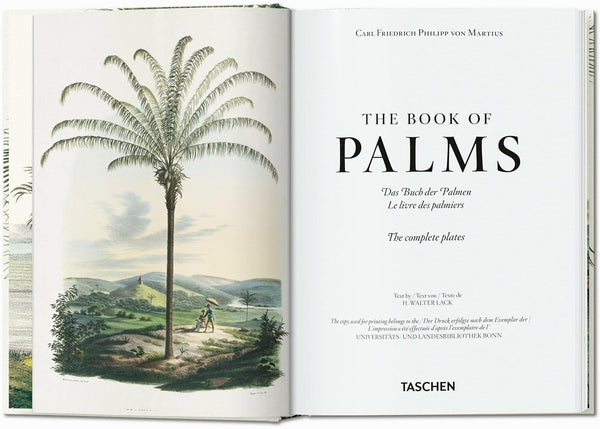 Martius: the Book of Palms