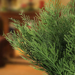 Cypress Branch Stems, 14"