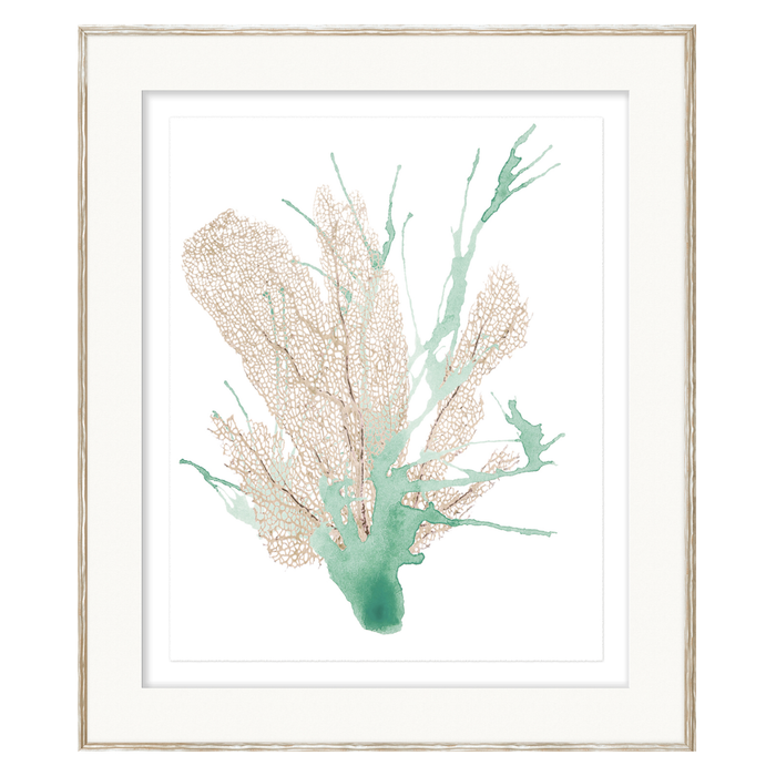 Spa Coral I, 23" x 27"