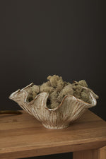 Caraway Bowl, 2 Sizes