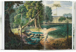 Martius: the Book of Palms