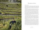 Vino: The Essential Guide to Real Italian Wine