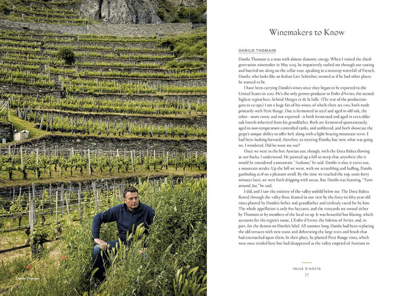 Vino: The Essential Guide to Real Italian Wine