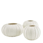 Pompano Vases, 3 Sizes, Sold Separately