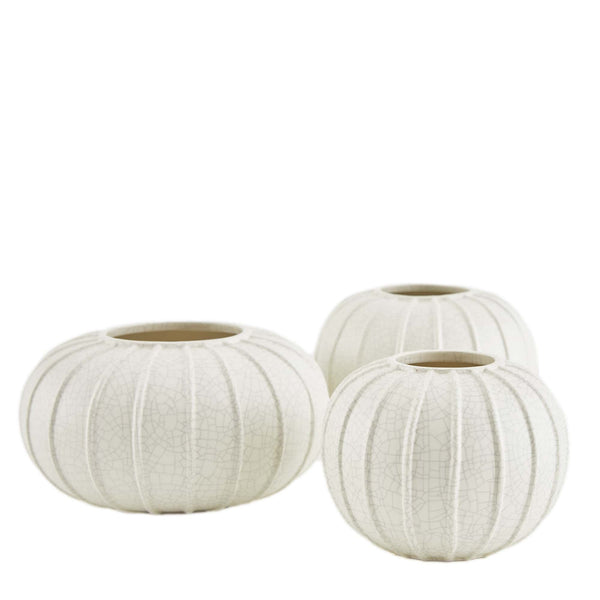 Pompano Vases, 3 Sizes, Sold Separately