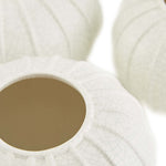 Pompano Vases, 3 Sizes, Sold Separately