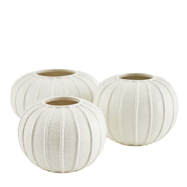 Pompano Vases, 3 Sizes, Sold Separately