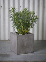 Newport Cube 8" Grey