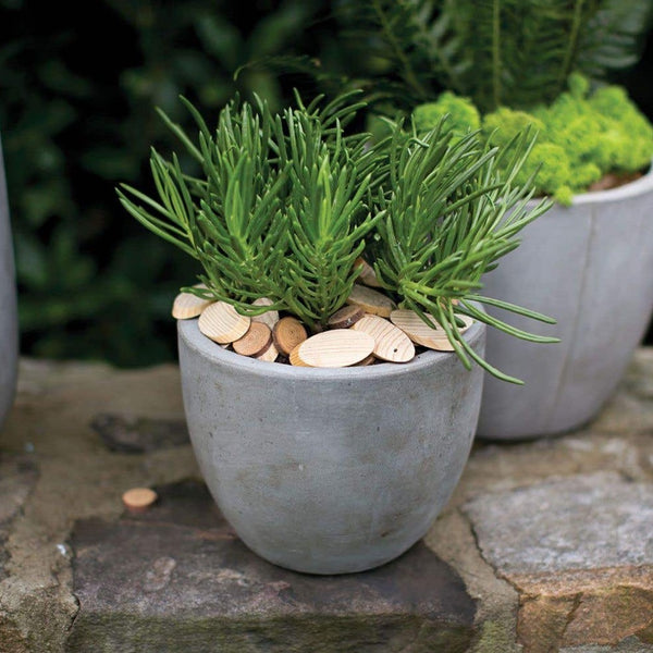 Newport Pot 6"x 5.5" Grey