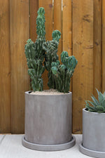 Marta Pot with Saucer, 2 Sizes
