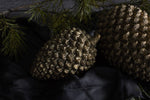 Coulter Cone, 2 Sizes