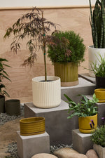 Beam Pot, Off-White, 2 Sizes