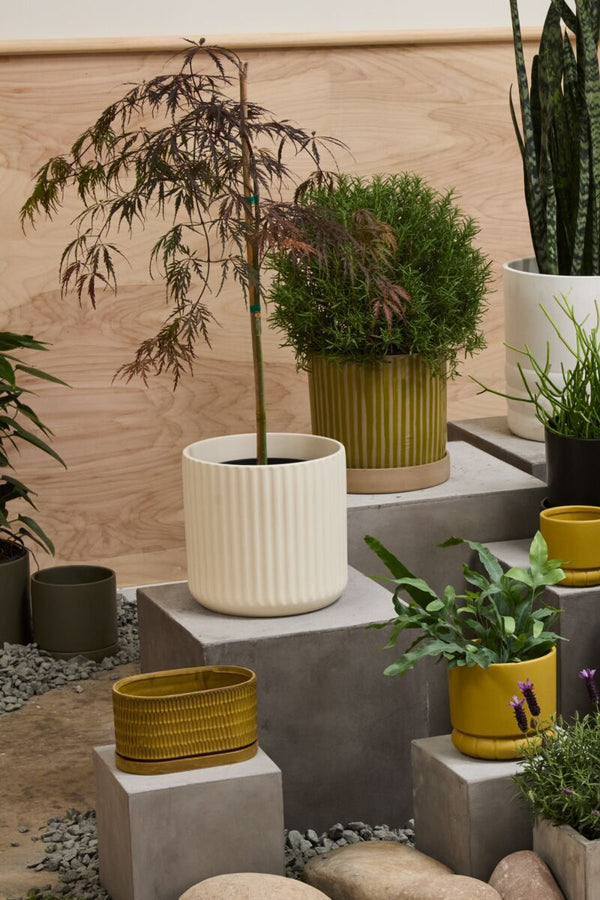 Beam Pot, Off-White, 2 Sizes