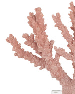 Fire Large Coral, 10"H x 13.25"W x 3.25"D