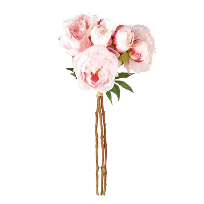 Pink Peony Bundle