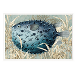 Burrfish, 16" x 23"