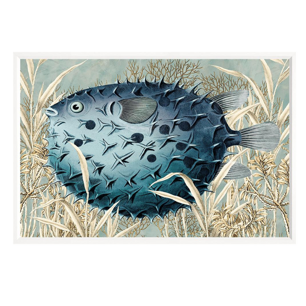 Burrfish, 16" x 23"