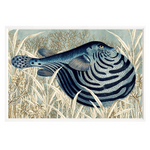 Nile Puffer, 16" x 23"