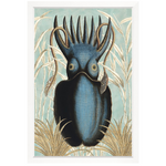 Ancient Cuttlefish II, 34" x 50"