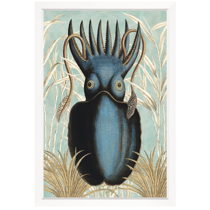 Ancient Cuttlefish II, 34" x 50"