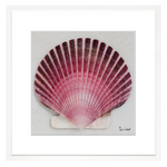 Shell Collection IX, 28" x 28"