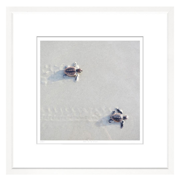 Race To The Ocean, 29" x 29"