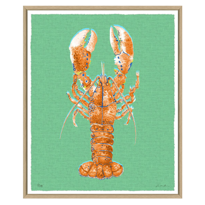 Caribbean Crustaceans II, 19" x 23"