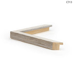 Raw Canvas Series: Pastel Palm I, 21" x 17"