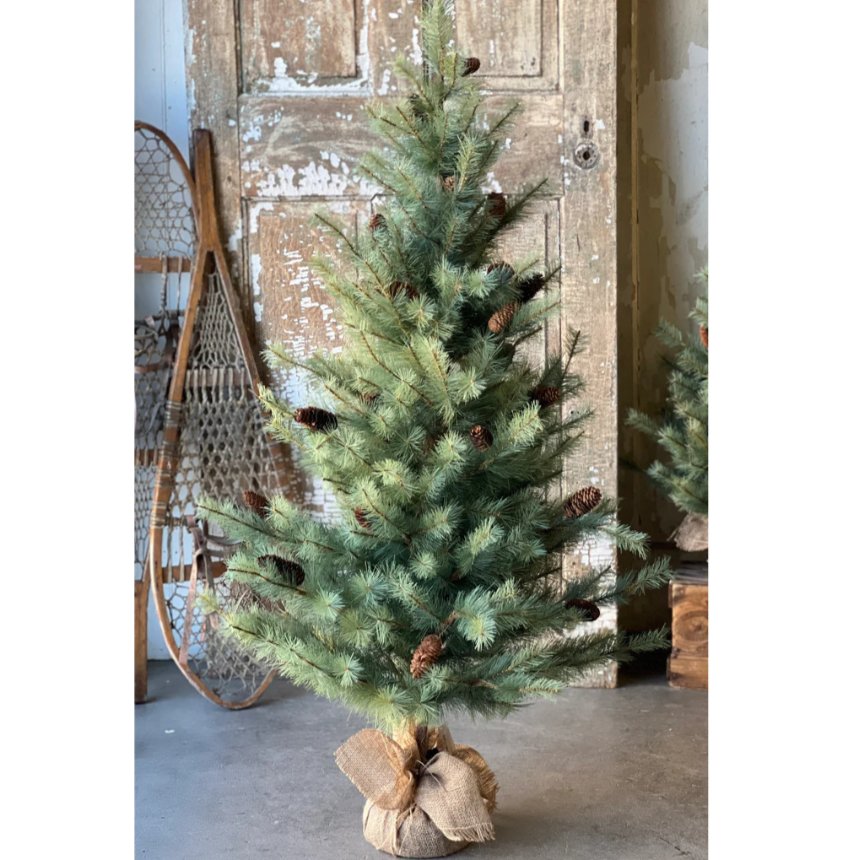 Woodford Pine 5' Tree