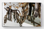 David Wiseman