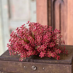 Bursting Astilbe Half Sphere, Sangria, 9"